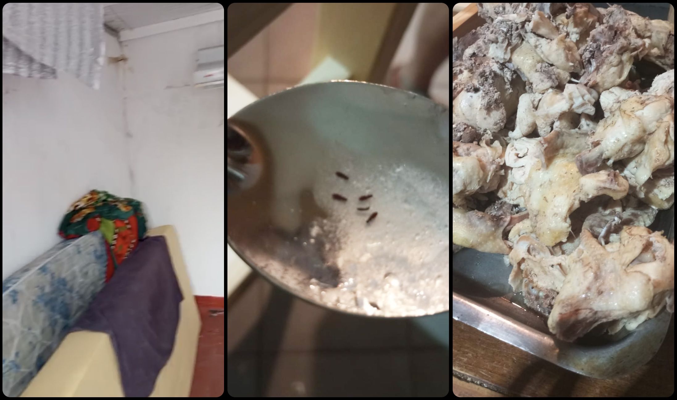 阿根廷足球青训的残酷现实:天才工厂背后的代价